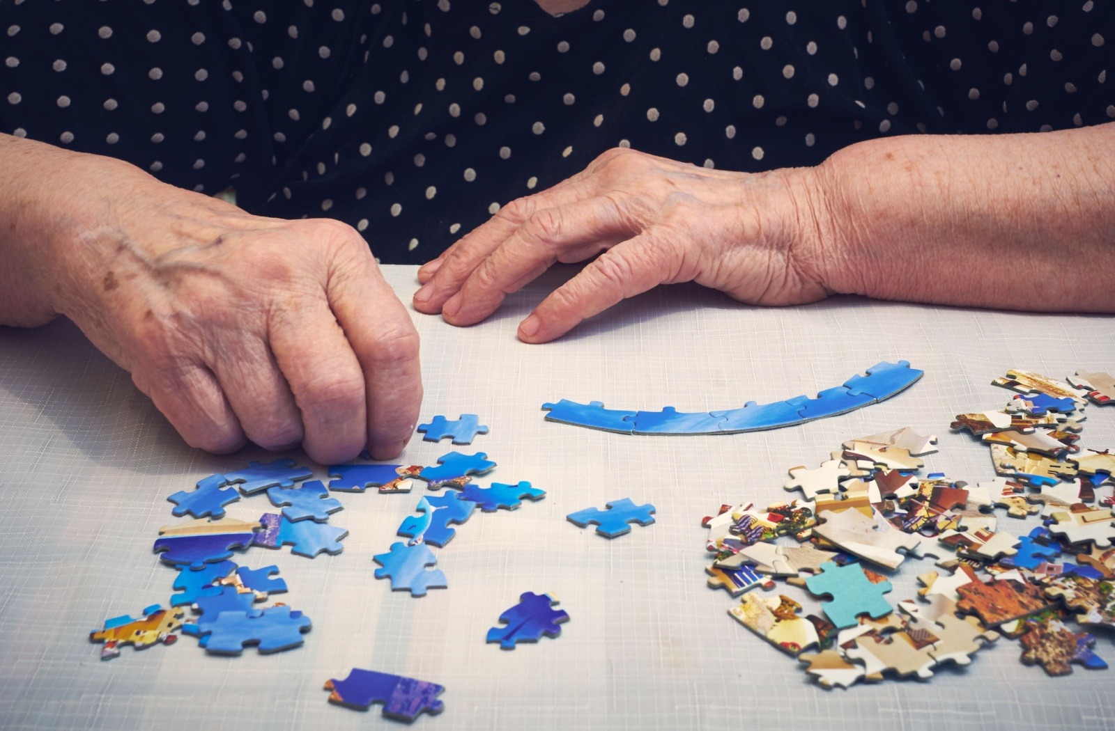 A close up of a senior's hands, as they build the top edge of a puzzle.